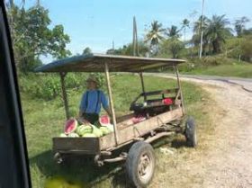 Mennoite man in Belize selling his watermelon from his wagon – Best Places In The World To Retire – International Living
